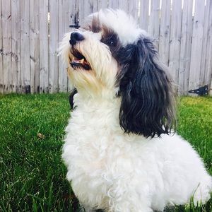 Meet your Posher, Marie